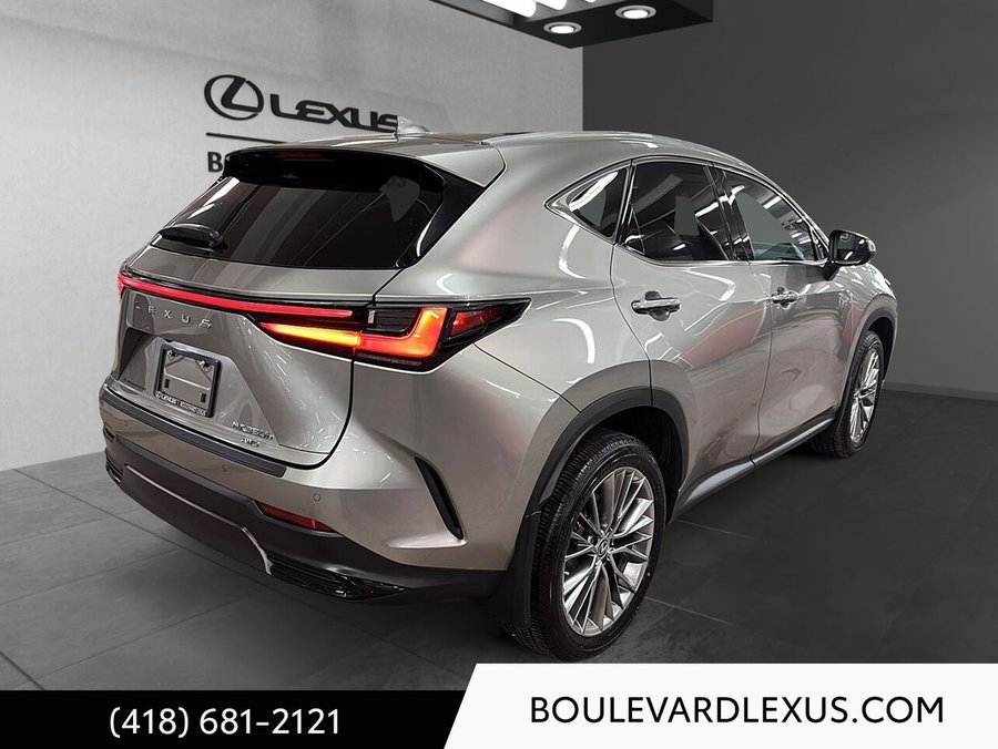 Lexus NX 2022 2022 Argent