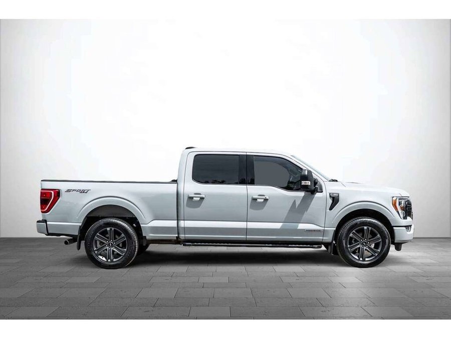 Ford F-150 2023 2023 gray