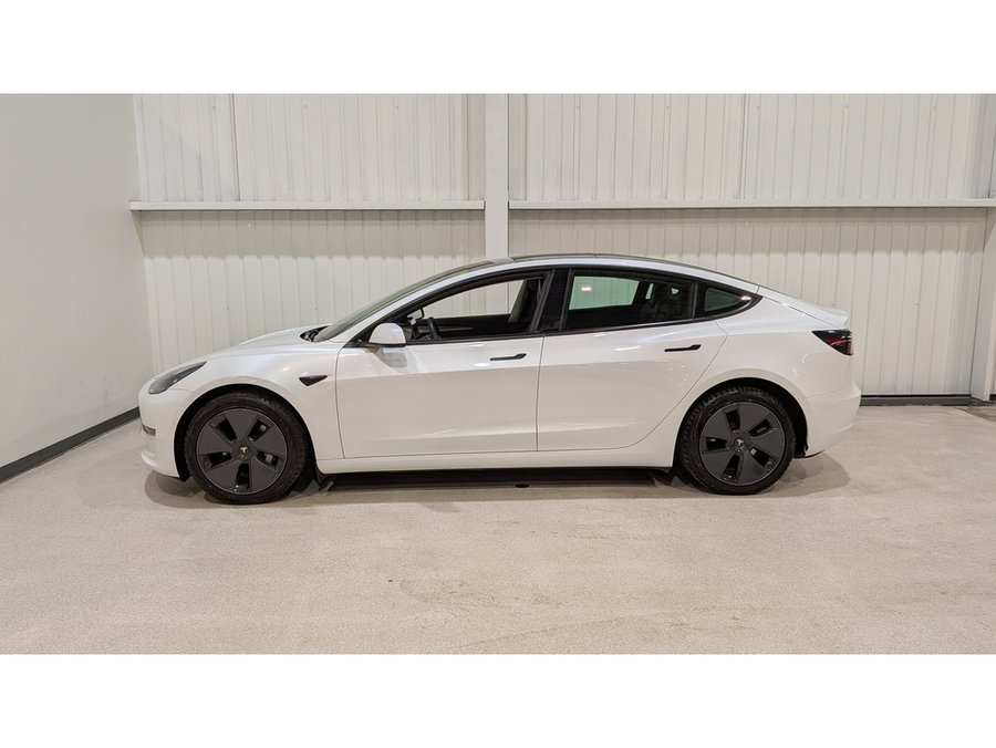 Tesla Model 3 2021 2021 Rouge