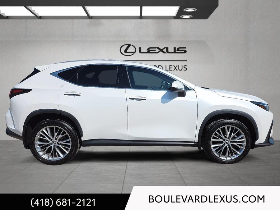 Lexus NX 2024 2024 Blanc