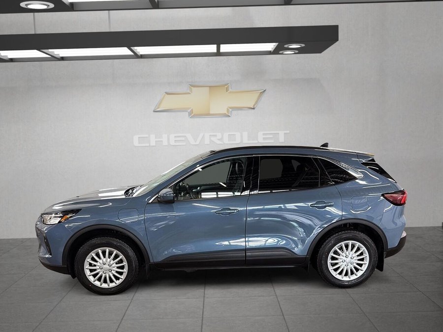Ford Escape PHEV BAS KILOMETRAGE 2024 Bleu