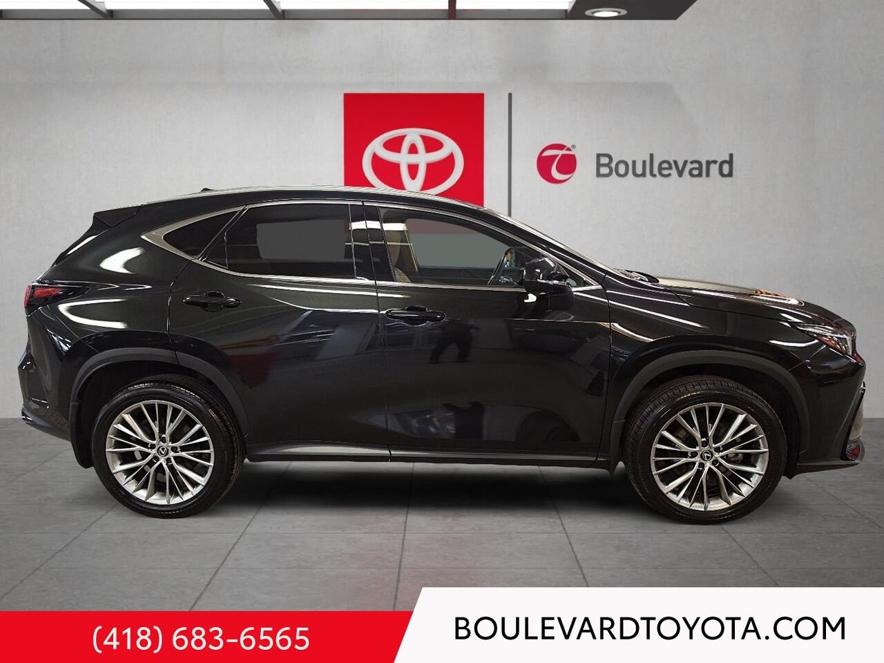 2024 Lexus NX 531802-68 | NX 350 Black Québec - photo #2