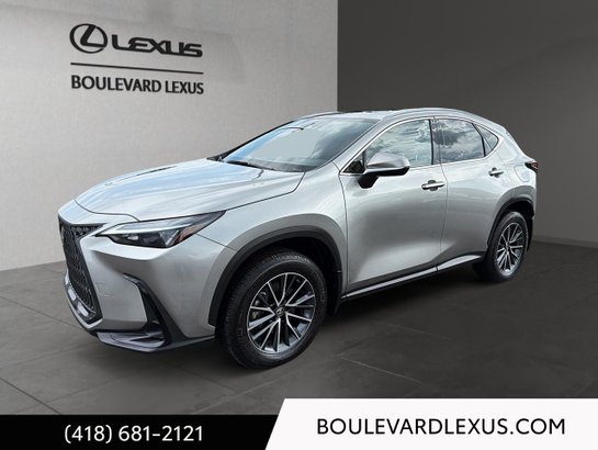 Lexus NX 2023 2023 Argent