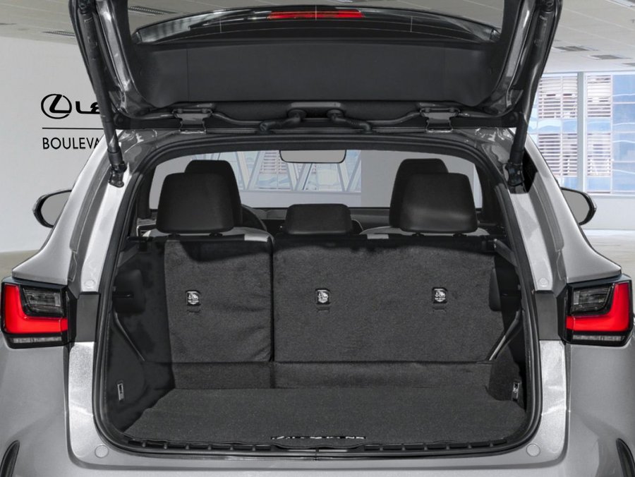 Lexus NX 2024 2024 Noir