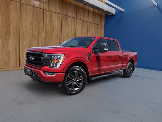 Ford F-150 2022 2022 Rouge
