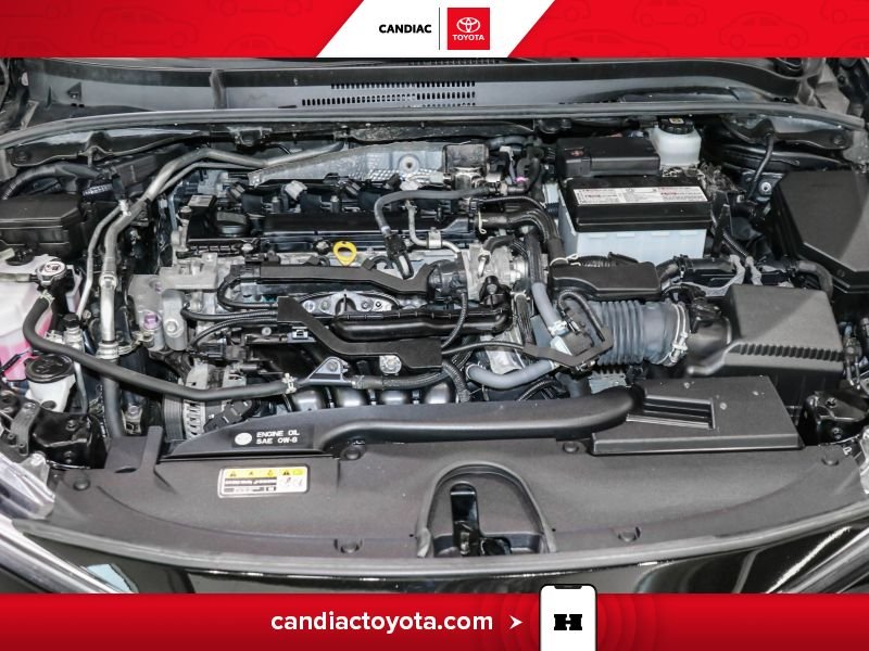 2023 Toyota Corolla Black Blainville - photo #36
