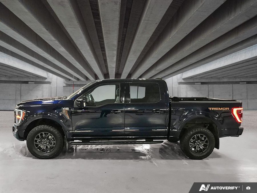 2023 Ford F-150 2023 Blue