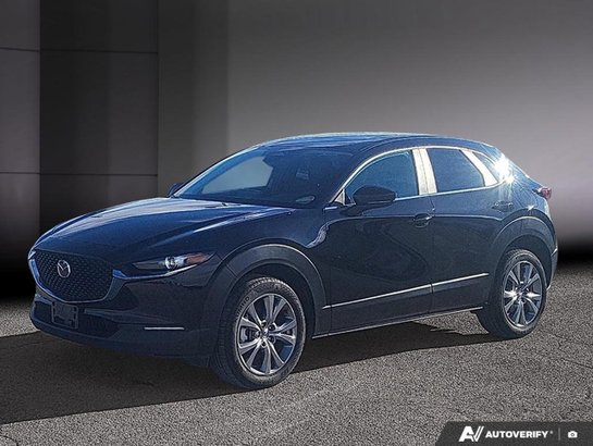 Mazda CX-30 2024 2024 Noir