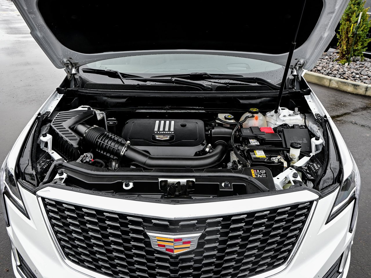 2024 Cadillac XT5 AWD 4dr Premium Luxury White Sherwood Park - photo #8