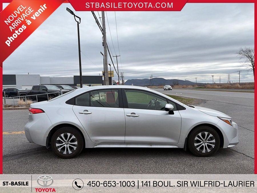 Toyota Corolla Hybride 2023 2023 Gris