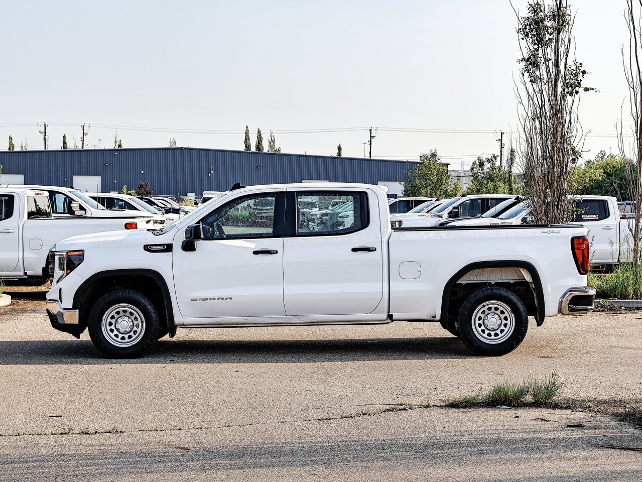 2024 GMC Sierra 1500 4WD Crew Cab 147 Pro White Sherwood Park - photo #9