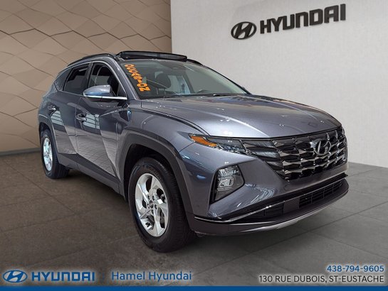 2024 Hyundai Tucson 2024 Grey