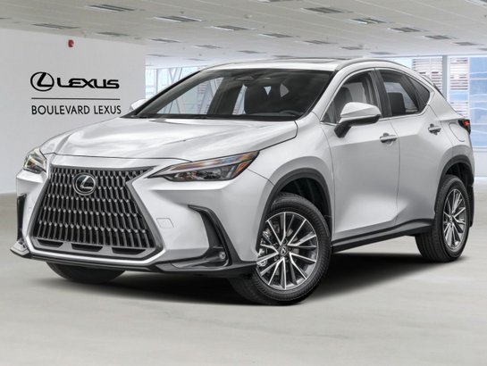 Lexus NX 2022 2022 Blanc