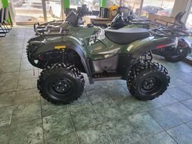 2021 Argo Xplorer 500 Green  - photo #10
