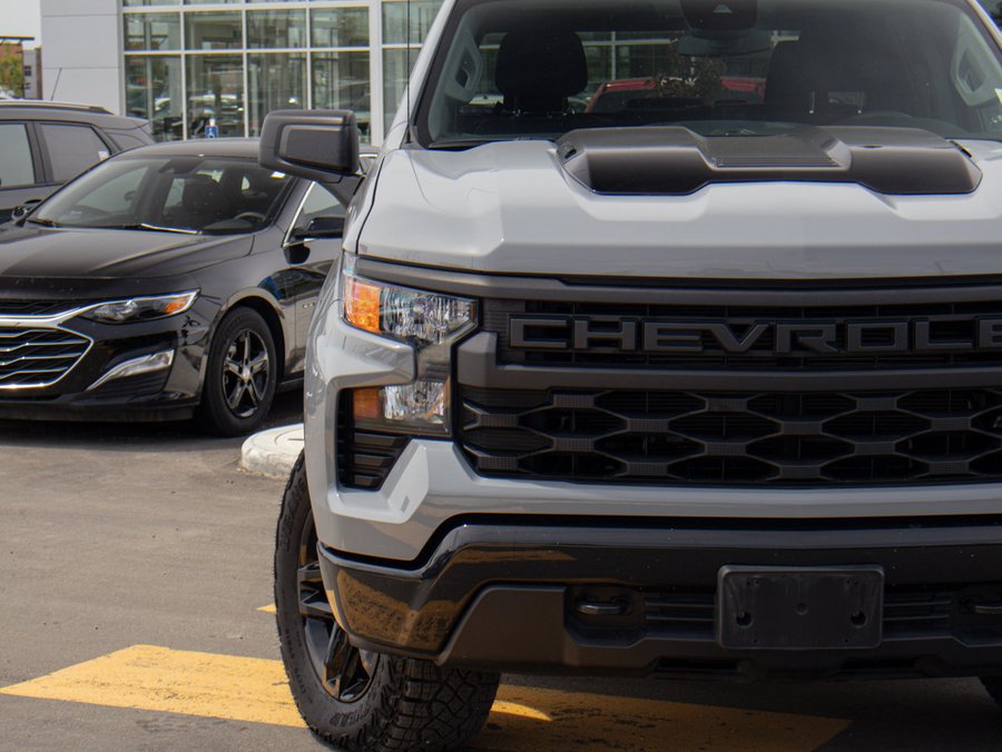 2024 Chevrolet Silverado 1500 2024 Grey