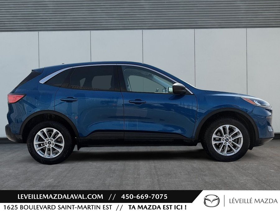 2022 Ford Escape 2022 Blue
