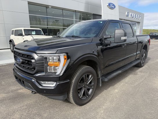 Ford F-150 2023 2023 Noir