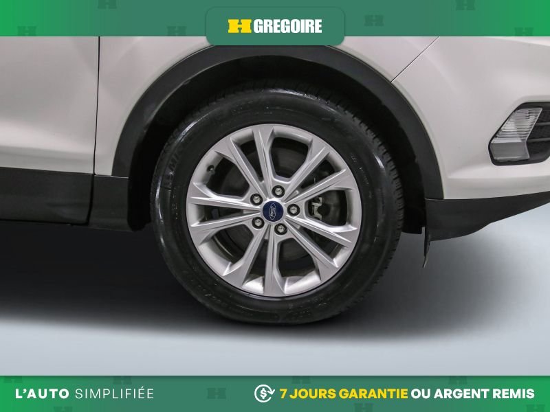 Ford Escape 2019 Blanc Laval - photo #31