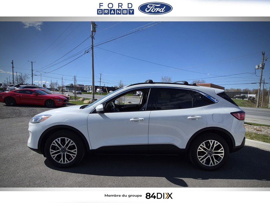 Ford Escape SEL TI 2020 Blanc