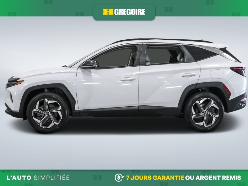 2023 Hyundai Tucson 2023 White