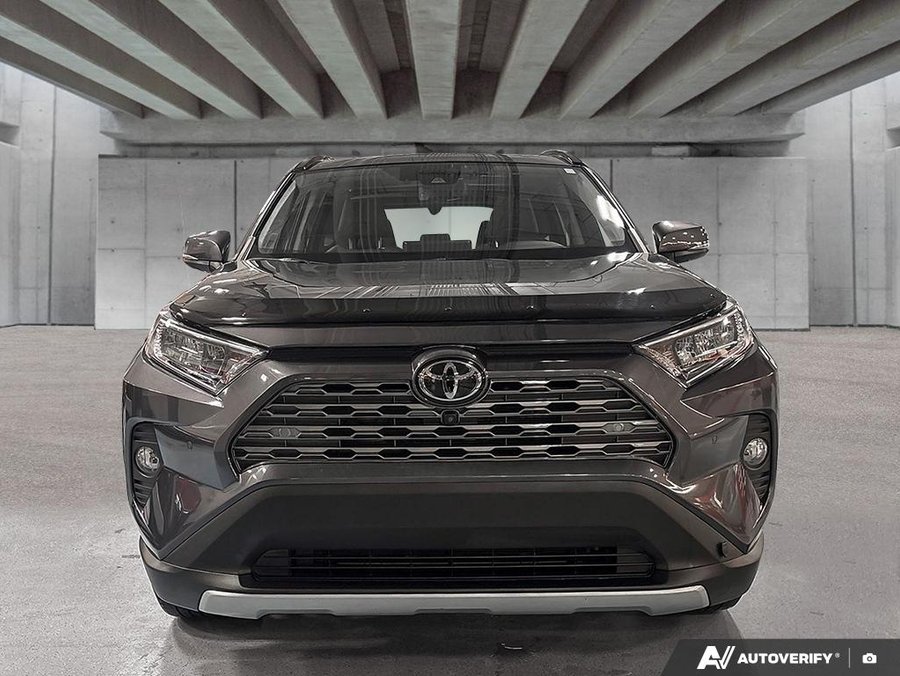 2019 Toyota RAV4 2019 gray