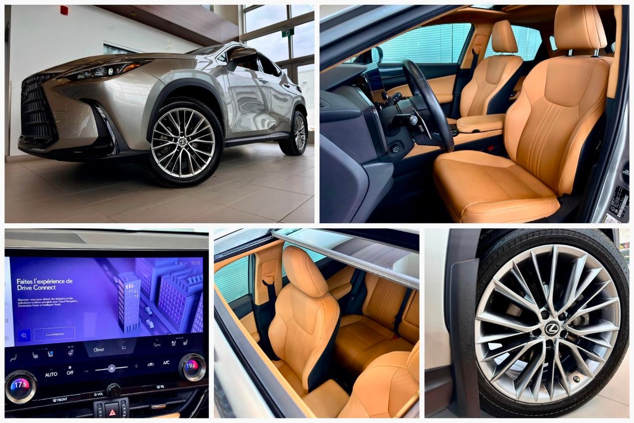 2022 Lexus NX Silver Notre-Dame-des-Prairies - photo #13