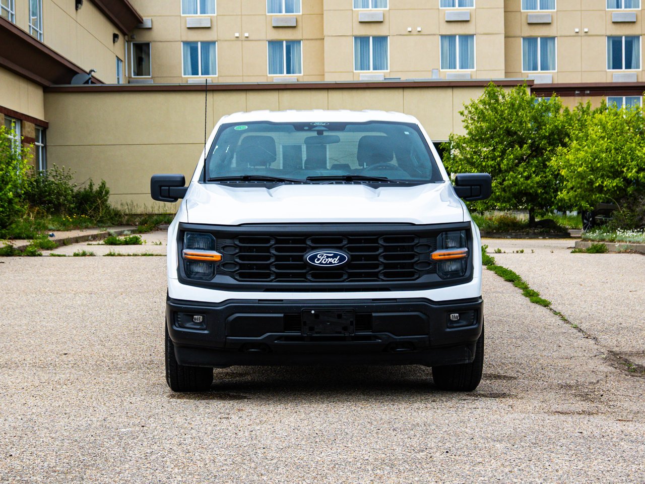 2024 Ford F-150 STX 4WD SuperCrew 5.5' Box White Sherwood Park - photo #2