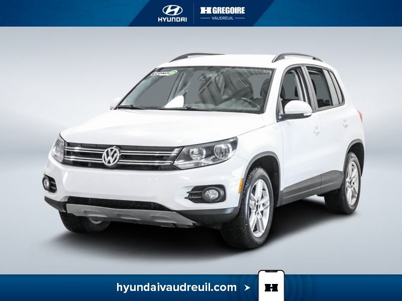 Volkswagen Tiguan 2015 2015 Blanc
