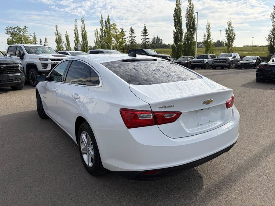 2022 Chevrolet Malibu 2022 White