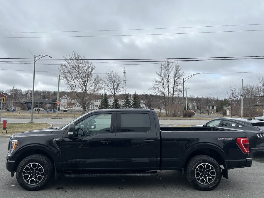 Ford F150 XLT 5.0L 2021 2021 Noir
