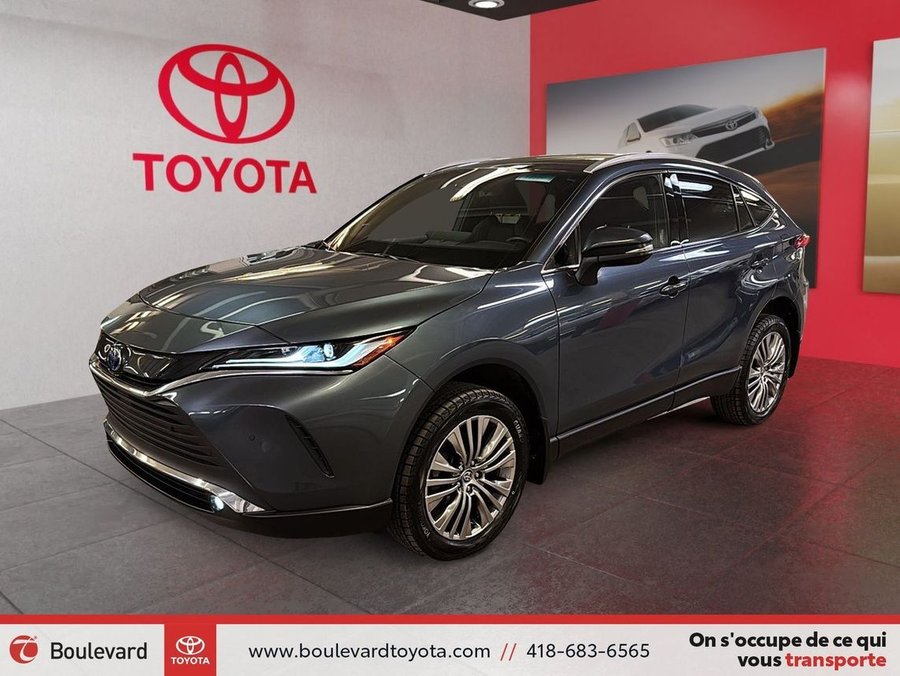 2024 Toyota Venza 2024 Blue