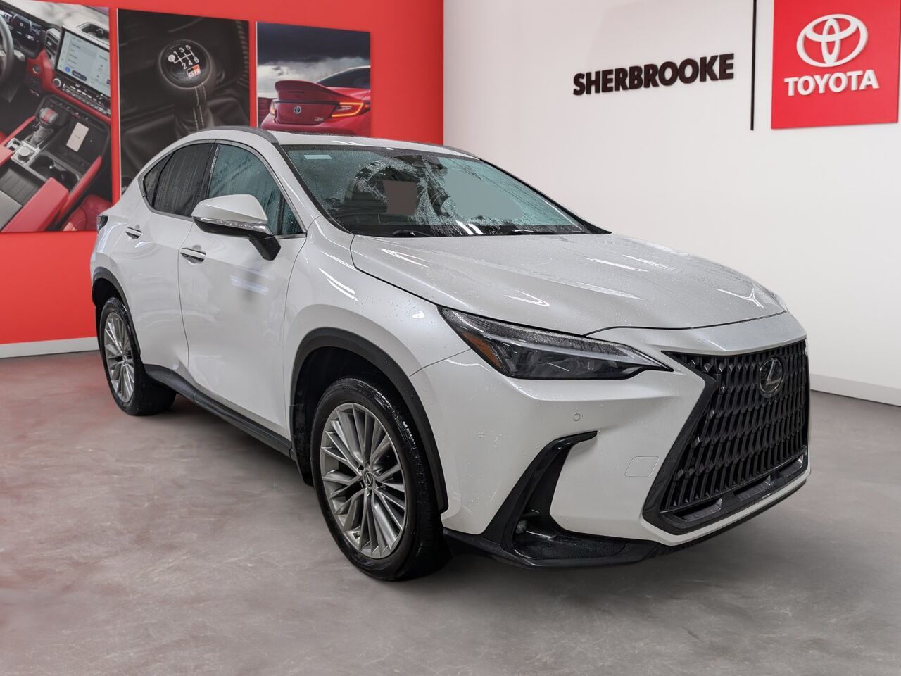 Lexus NX 2022