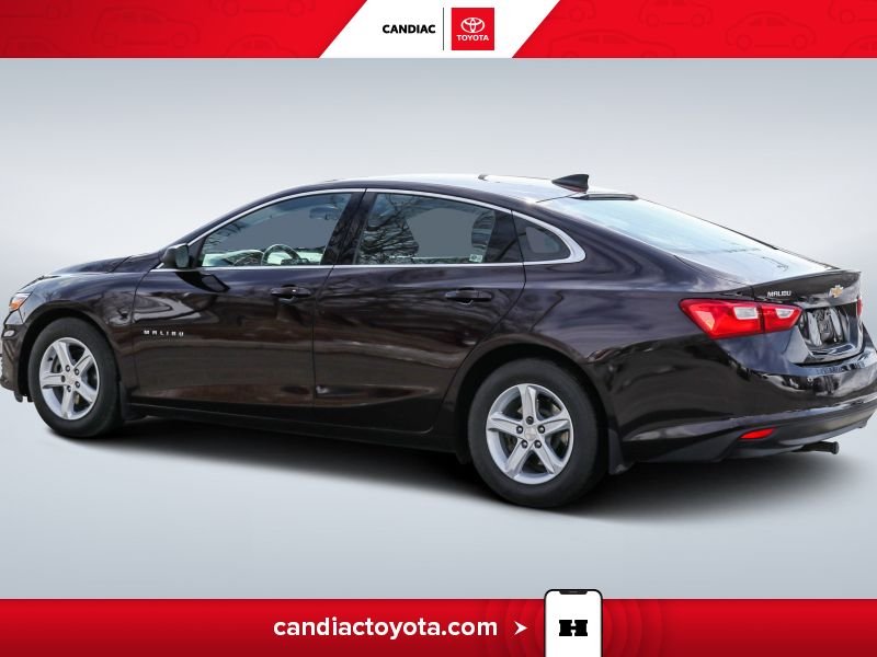 Chevrolet Malibu 2020 2020 mauve