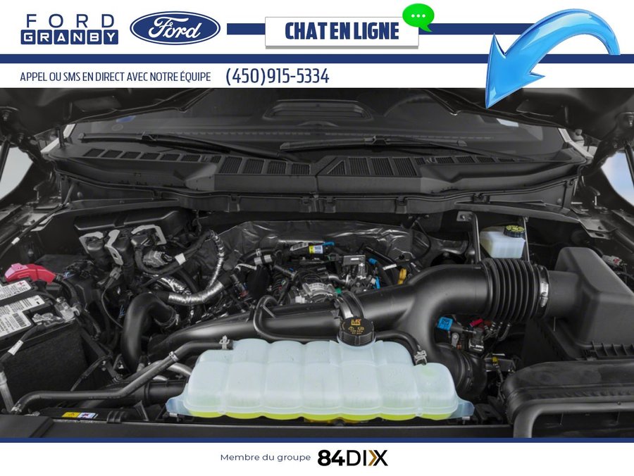 2023 Ford F-150 Green