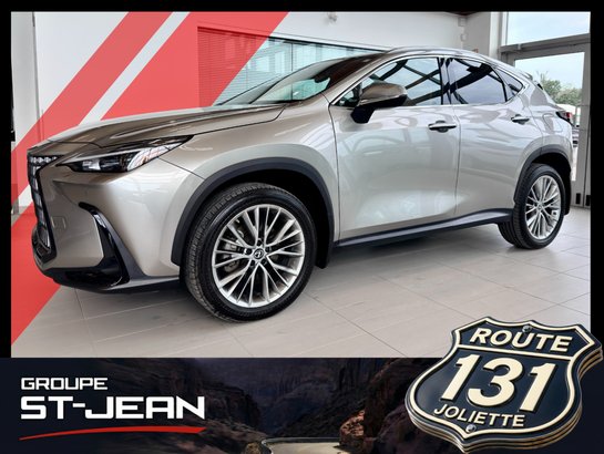 Lexus NX 2022 2022 Gris