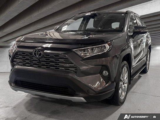 2019 Toyota RAV4 2019 gray