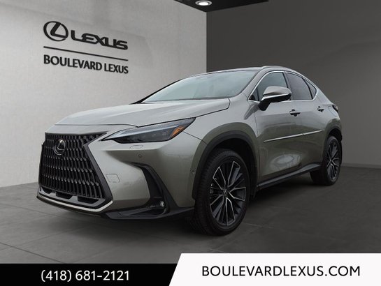 Lexus NX 2024 2024 Argent