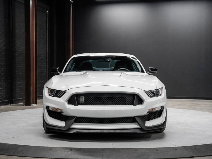 2017 Ford Mustang Shelby GT350 2017 Grey