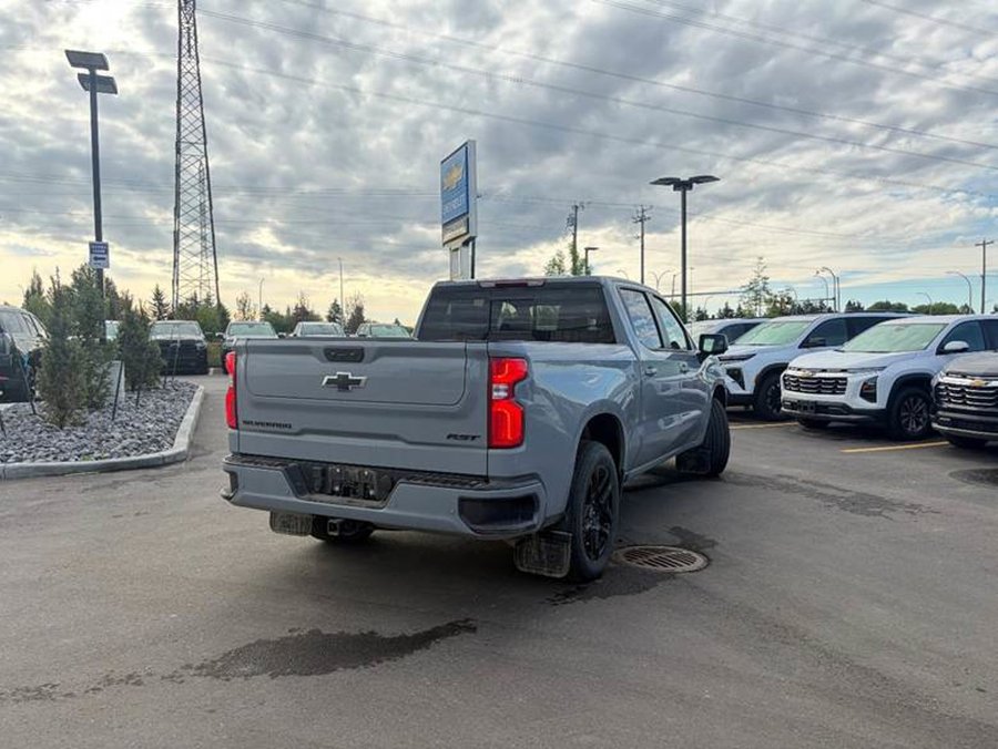 2024 Chevrolet Silverado 1500 2024 Grey