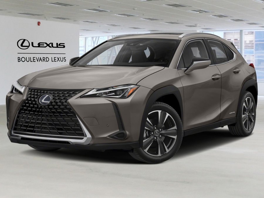 2021 Lexus UX 2021 Silver