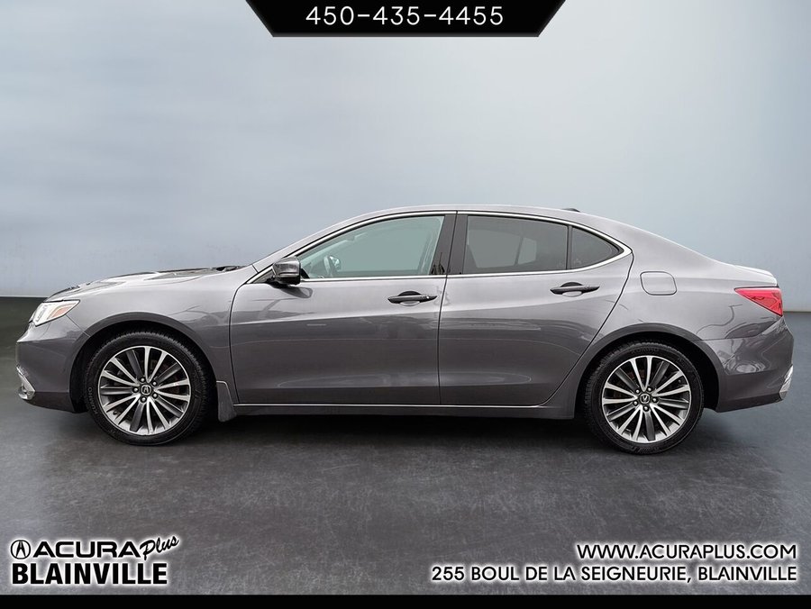 2019 Acura TLX 2019 Grey