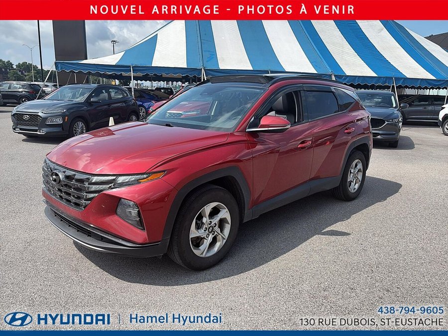 Hyundai Tucson 2024 2024 Rouge