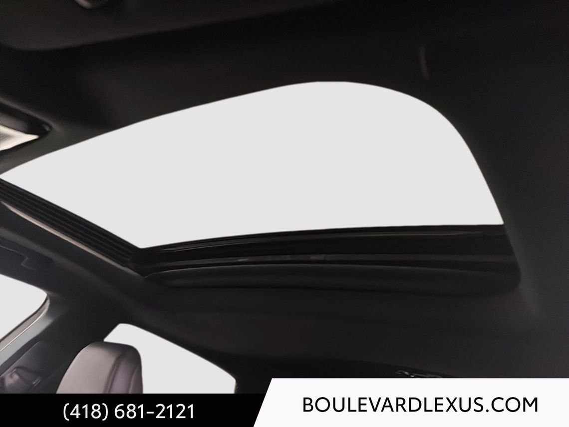 2023 Lexus RX Grey Quebec - photo #30