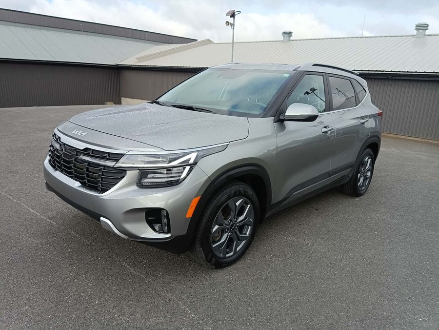 Kia Seltos 2024 2024 Gris