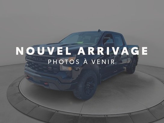 2024 Chevrolet Silverado 1500 2024 Black
