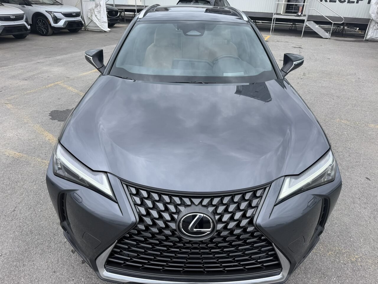 2025 Lexus UX UX 300h CAWD Beige Laval - photo #7