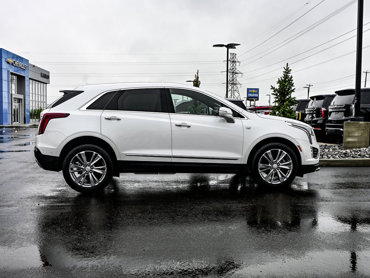 2024 Cadillac XT5 AWD 4dr Premium Luxury White Sherwood Park - photo #15