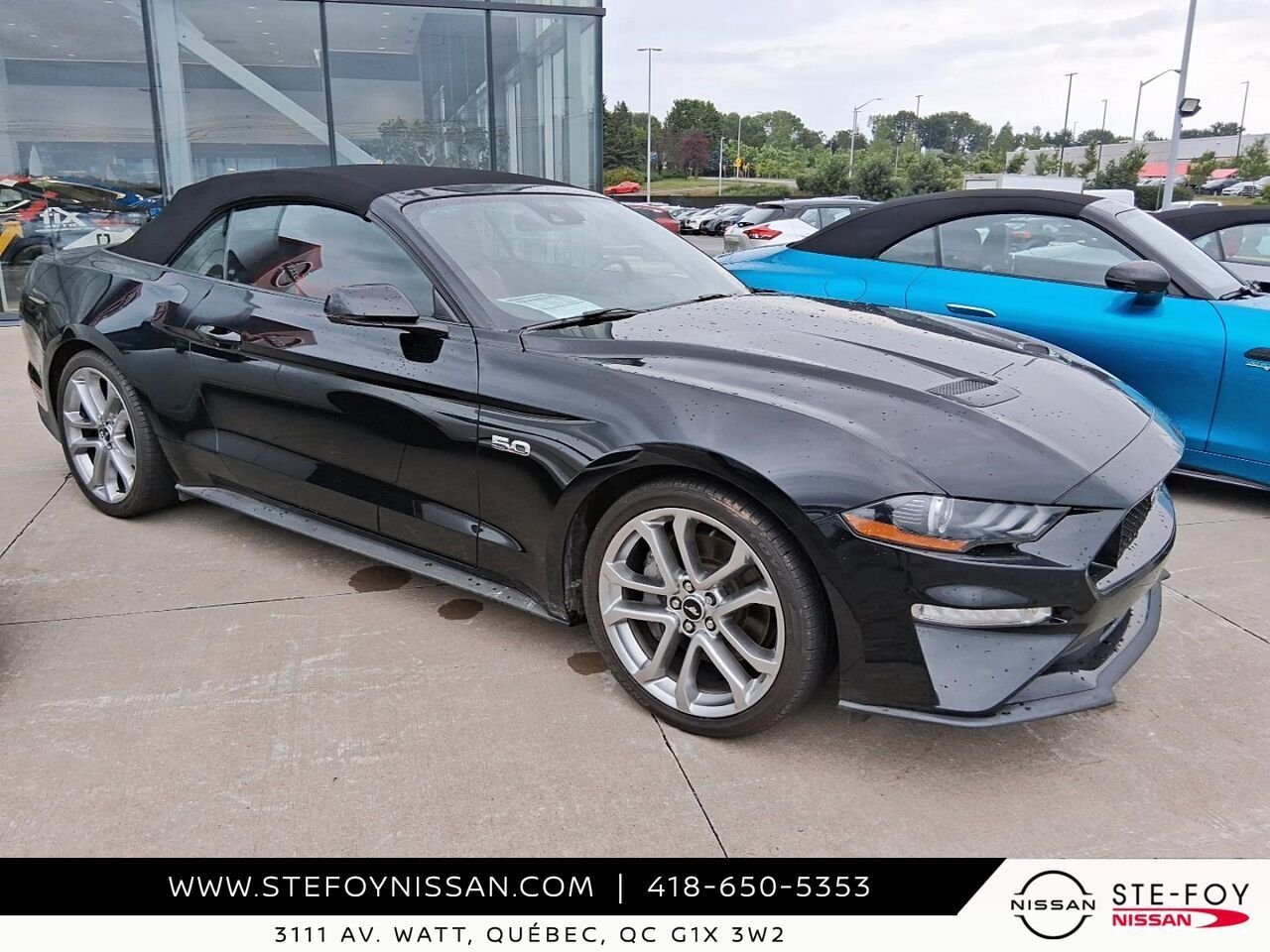 2022 Ford Mustang GT PREMIUM Black Ste-Foy - photo #0