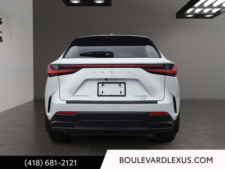 2022 Lexus NX 2022 White