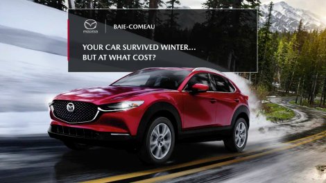 Your car survived winter… but at what cost?